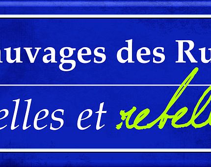 Exposition Belles et rebelles du 28 mai au 21 juin à Rioz, Authoison et Vellefaux